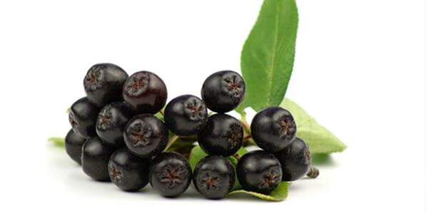 Plody černého horského popela užitečné pro diabetes